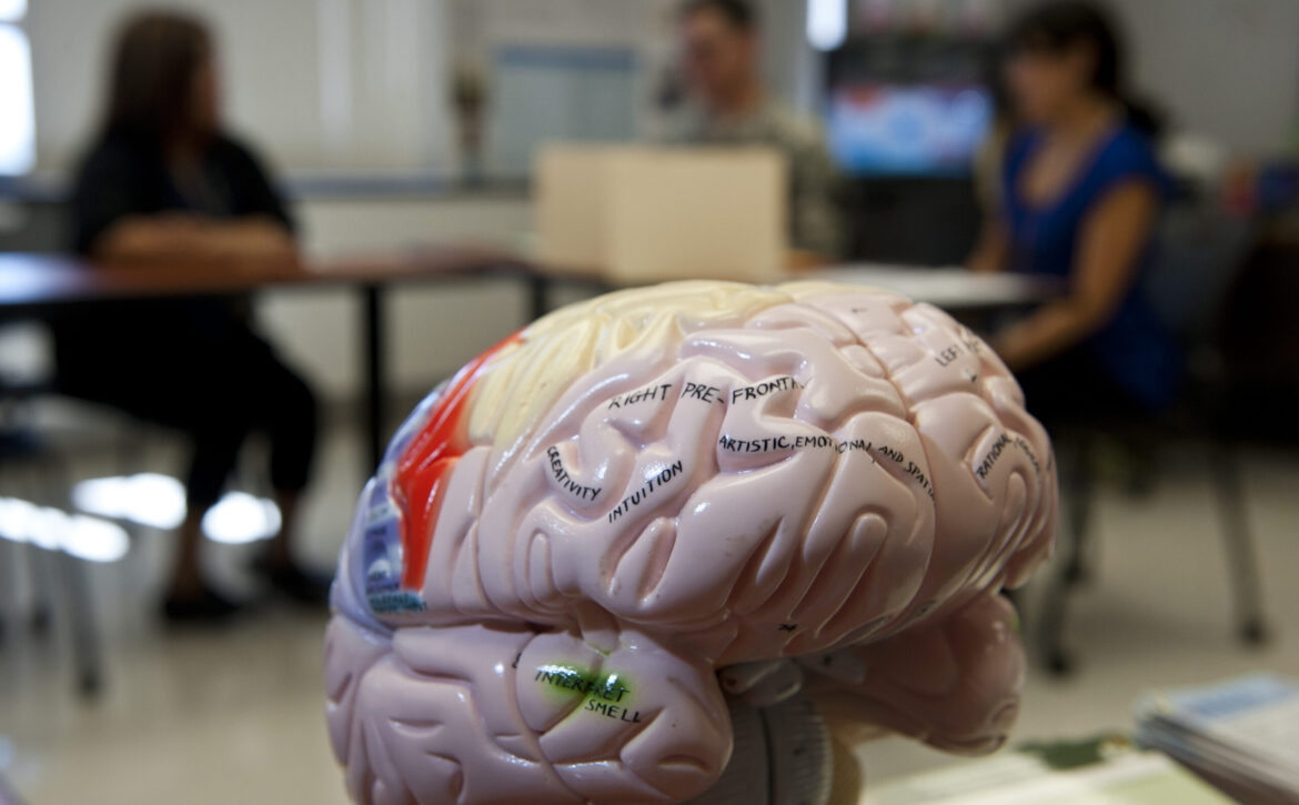 TBI care offered at Tripler Army Medical Center